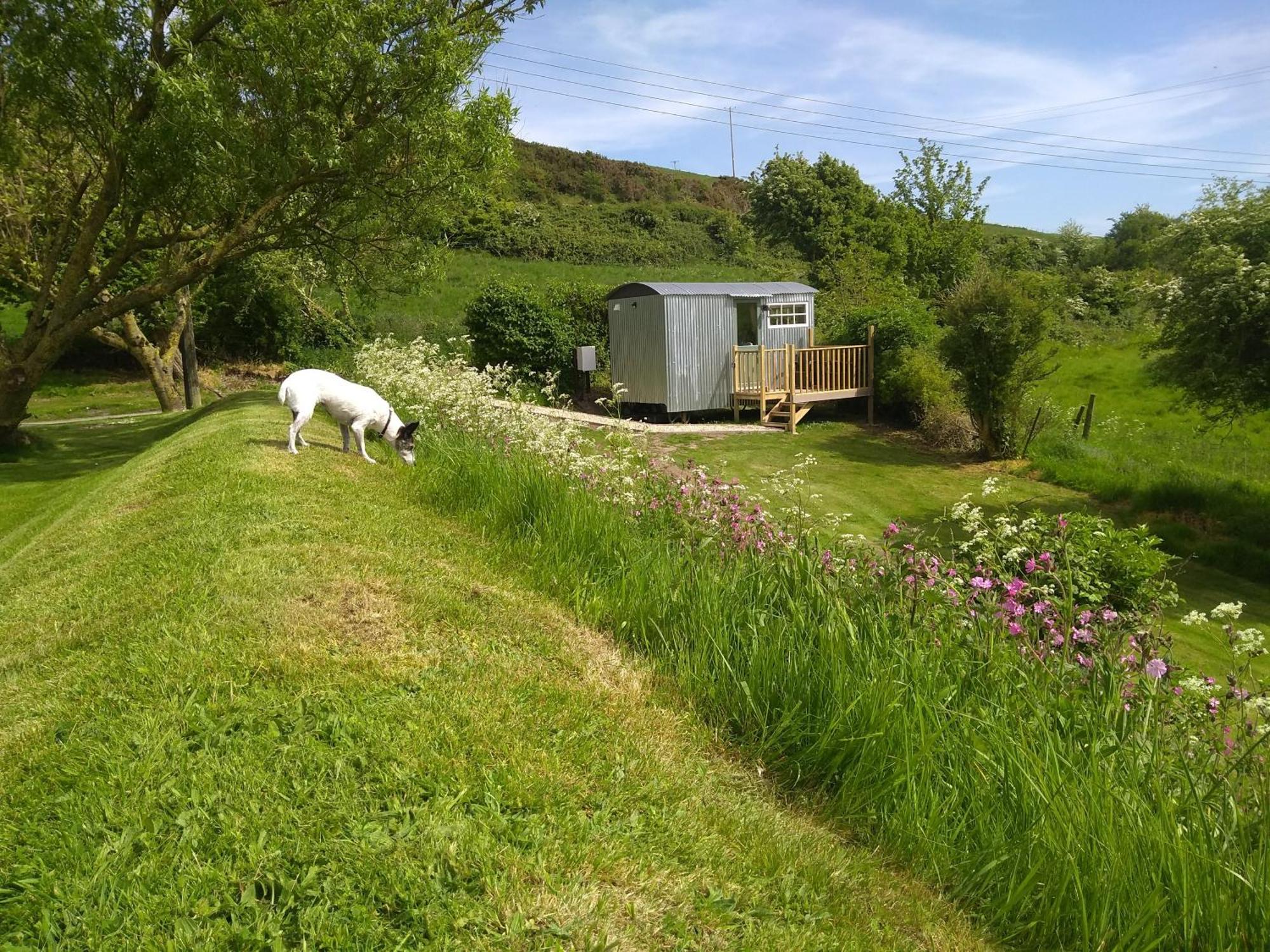 וויימות' Shepherds Hut מראה חיצוני תמונה